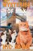 Mysteries of Max