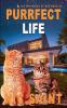 Purrfect Life