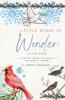 Little Wings of Wonder