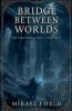 Bridge Between Worlds
