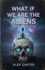 What If We Are The Aliens?
