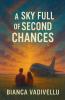 A Sky Full Of Second Chances