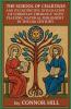 The School of Chartres and Its Distinctive Integration of Christian Theology with Platonic Natural Philosophy in the 12th Century