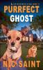 Purrfect Ghost