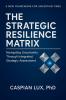 The Strategic Resilience Matrix