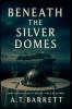 Beneath the Silver Domes