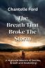 The Breath That Broke The Storm