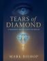 Tears of Diamond
