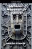 Mysterious Mesoamerican Cultures