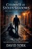 The Chamber of Stolen Shadows