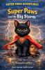 Super Paws and the Big Storm