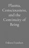 Plasma Consciousness and the Continuity of Being