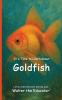 It's Time to Learn about Goldfish