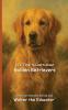 It's Time to Learn about Golden Retrievers