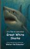It's Time to Learn about Great White Sharks