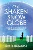 The Shaken Snow Globe