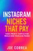 Instagram Niches That Pay