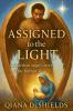 ASSIGNED TO THE LIGHT