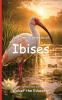 It's Time to Learn about Ibises