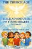 Bible Adventures for Young Hearts (Vol 3)