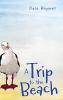 A Trip to the Beach