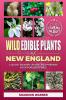 Wild Edible Plants of New England