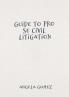 Guide to Pro Se Civil Litigation