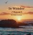 In Wonder (Hayret)