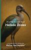 It's Time to Learn about Hadada Ibises