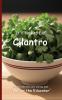 It's Time to Eat Cilantro