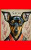 Sachi the dog -