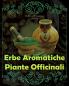 Erbe Aromatiche Piante Officinali