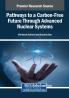 Pathways to a Carbon-Free Future Through Advanced Nuclear Systems