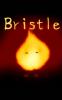 Bristle