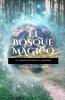 El Bosque Mágico