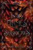 Into Flames and Shadows