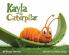 Kayla the Caterpillar