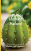 It's Time to Eat Horned Melons