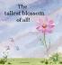The tallest blossom of all