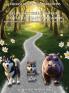 Bella and the Adventure to the Enchanted Meadow