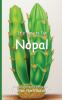It's Time to Eat Nopal