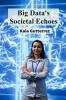 Big Data's Societal Echoes