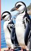 It's Time to Learn about African Penguins