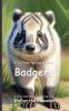 It's Time to Learn about Badgers