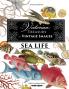 The Victorian Treasury of Vintage Images - Sea Life