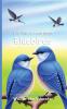 It's Time to Learn about Bluebirds