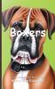 It's Time to Learn about Boxers