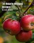 50 Ontario Orchard Recipes