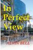 In Perfect View