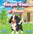 Harper Finds a Home